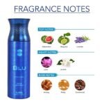 Ajmal Blu Pour Homme Deodorant For Men (200ml) - Image 2